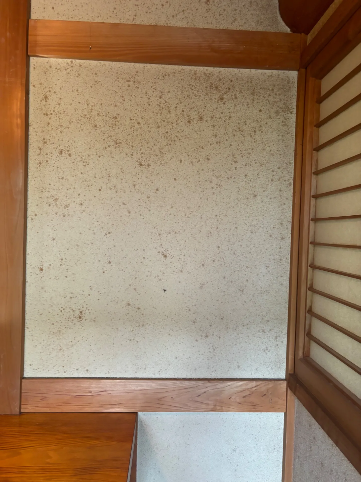 日本家屋の土壁に発生するカビ対策